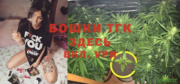 молекула духа Алексеевка