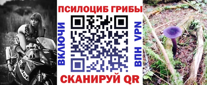 Псилоцибиновые грибы мицелий  Бологое 