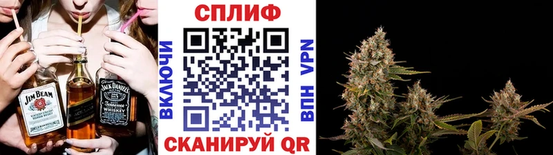 Канабис конопля  Бологое 